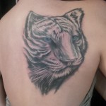 white tiger back tattoo